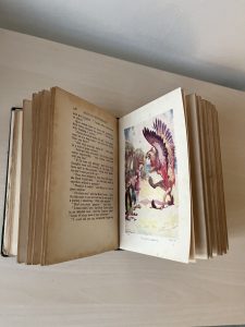 Vintage Alice in Wonderland Book (Illustrated)
