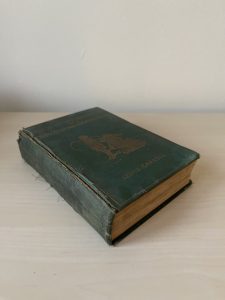 Vintage Alice in Wonderland Book (Illustrated)