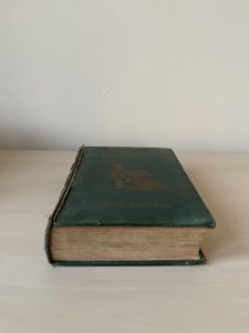 Vintage Alice in Wonderland Book (Illustrated)