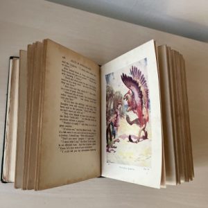 Vintage Alice in Wonderland Book (Illustrated)
