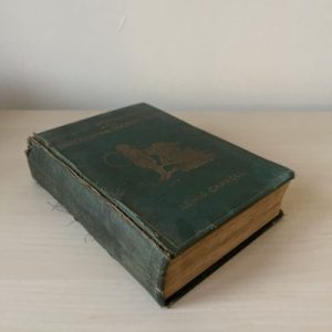 Vintage Alice in Wonderland Book (Illustrated)