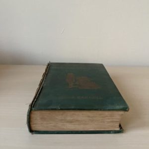 Vintage Alice in Wonderland Book (Illustrated)